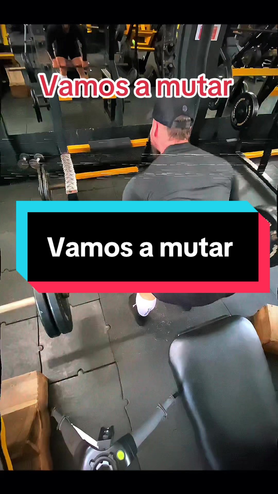 @AlexVelizfit
