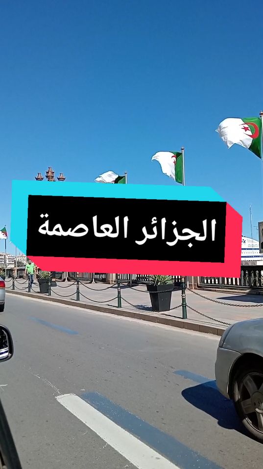 @💚Dounyazed16❤BND