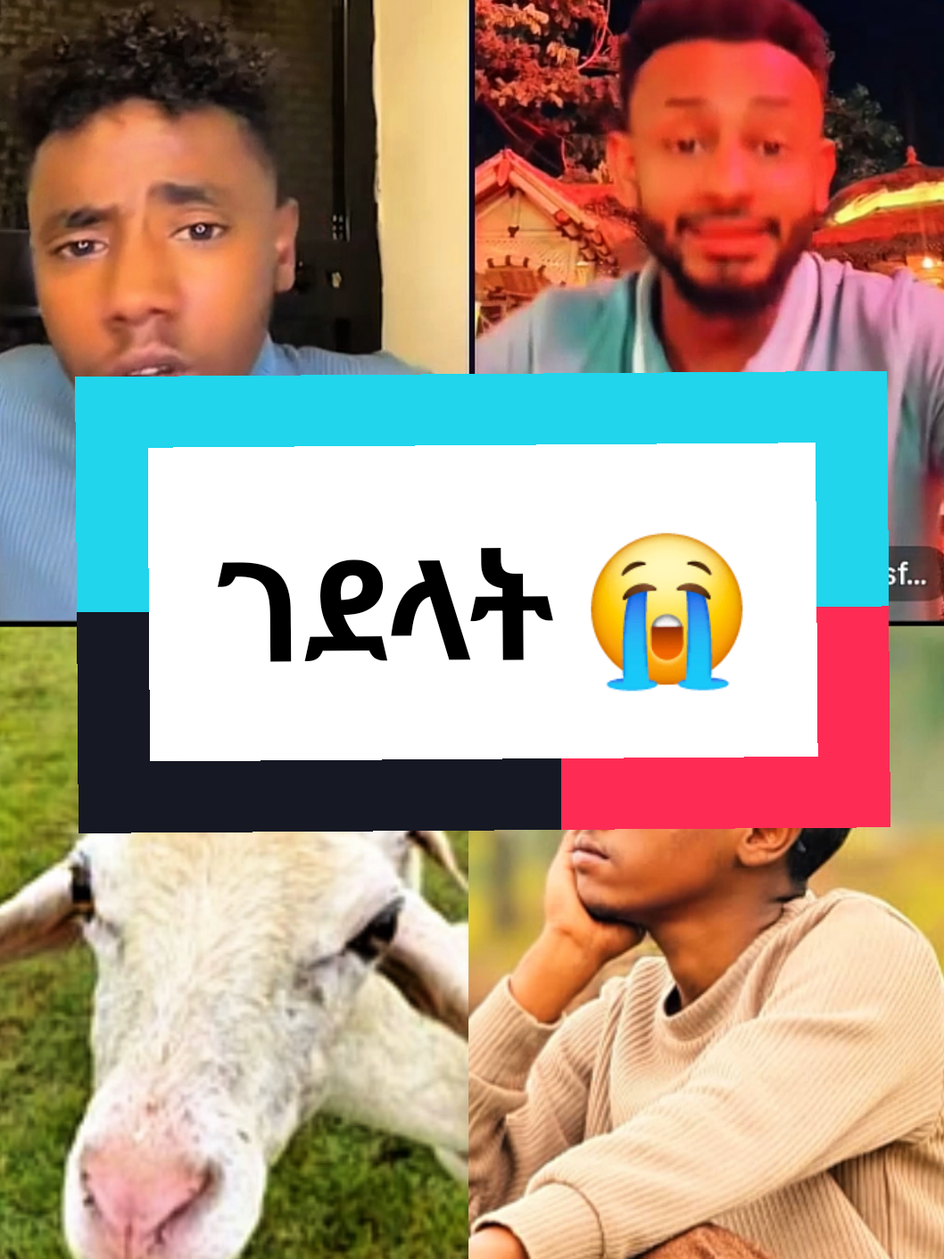@ጉድ ሰራኝ ስልኬ👮