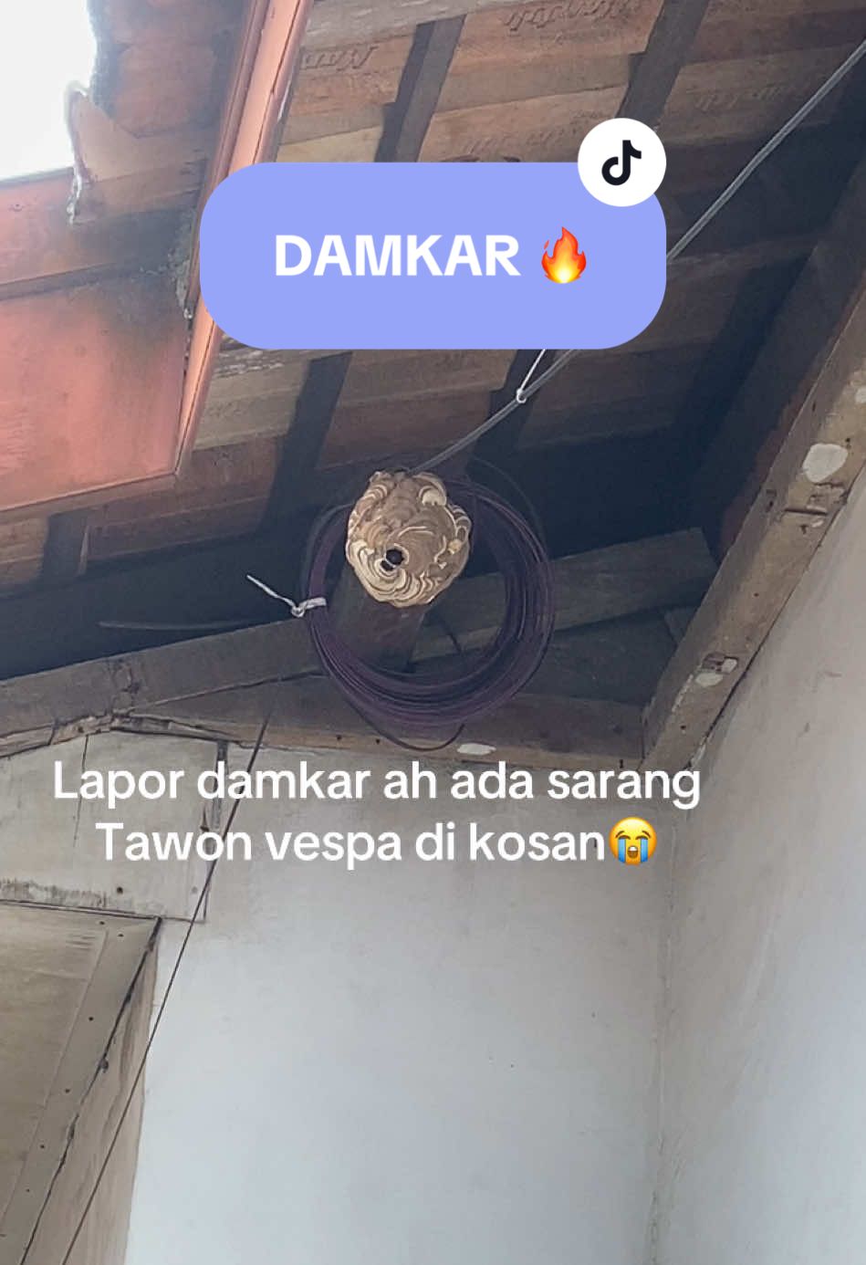 @Abayy Mc
