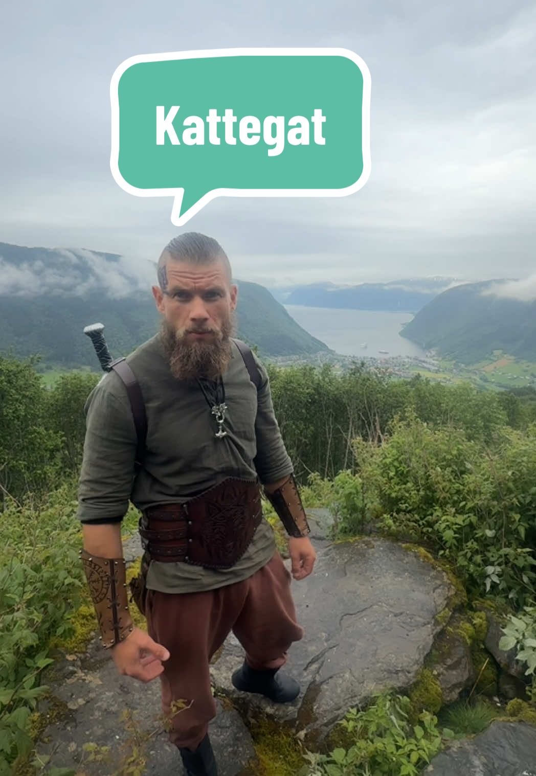 @VikinginVik