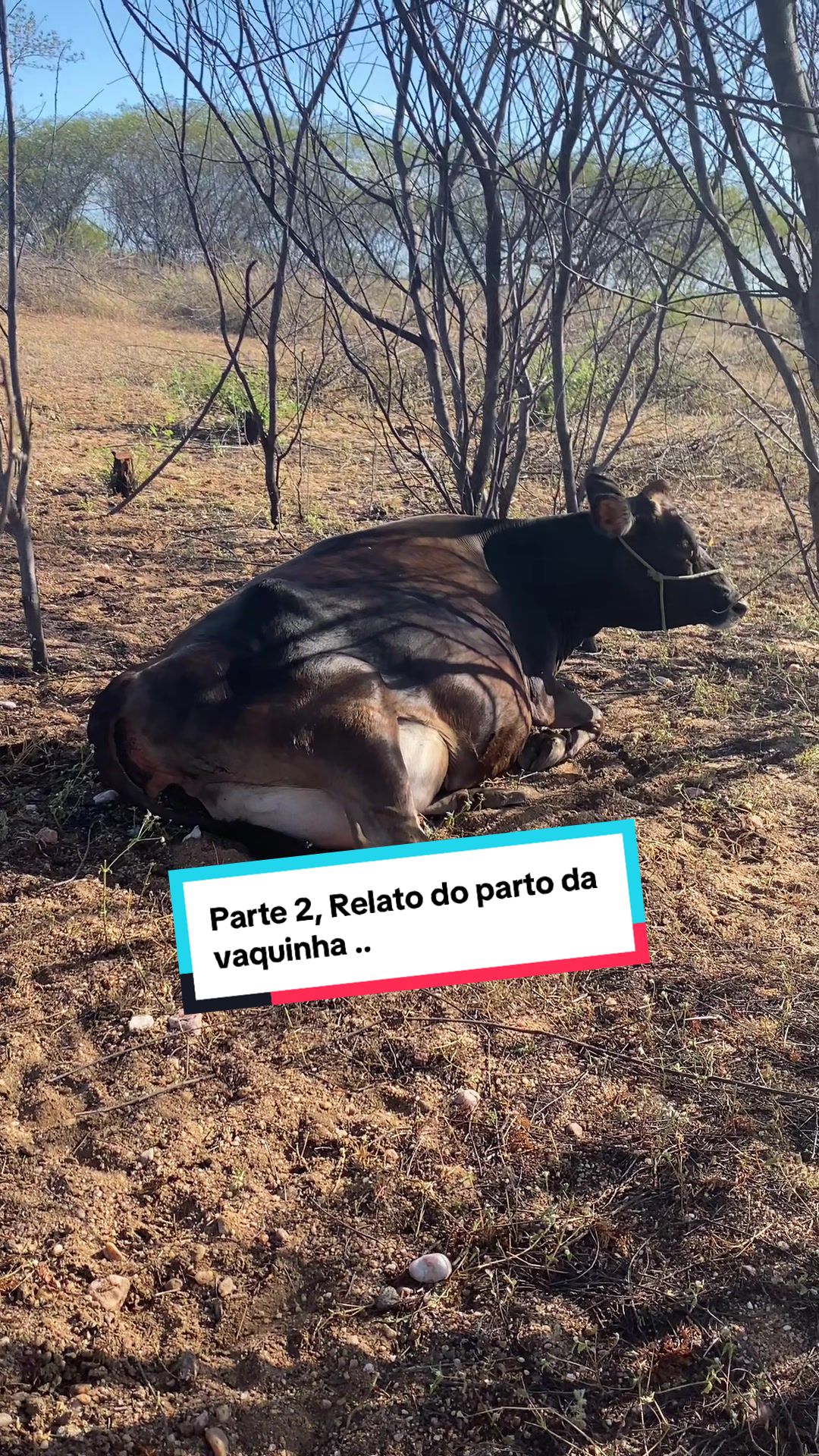 @Fernando Luiz