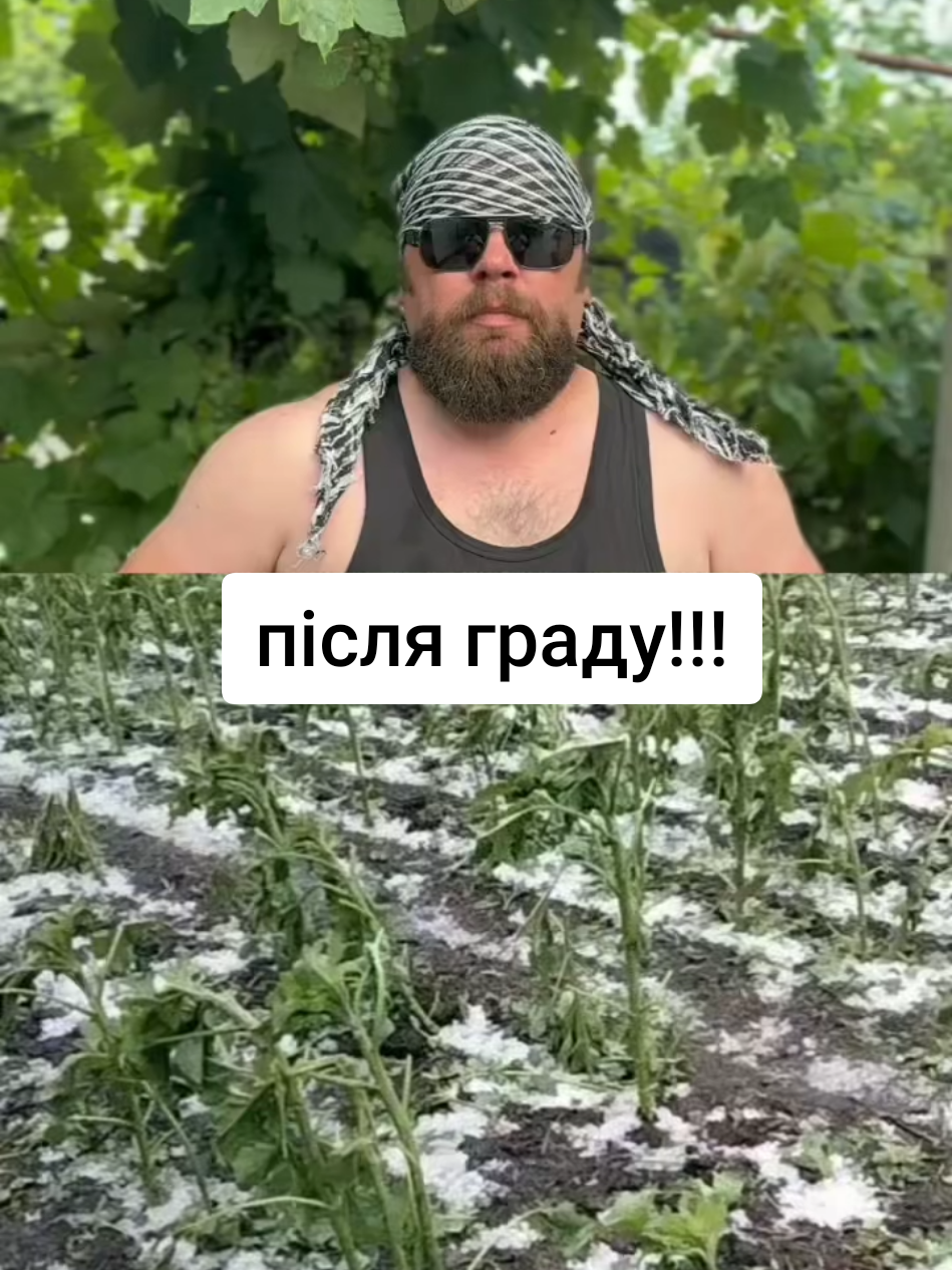 @Анатолій ТД Сварог агро