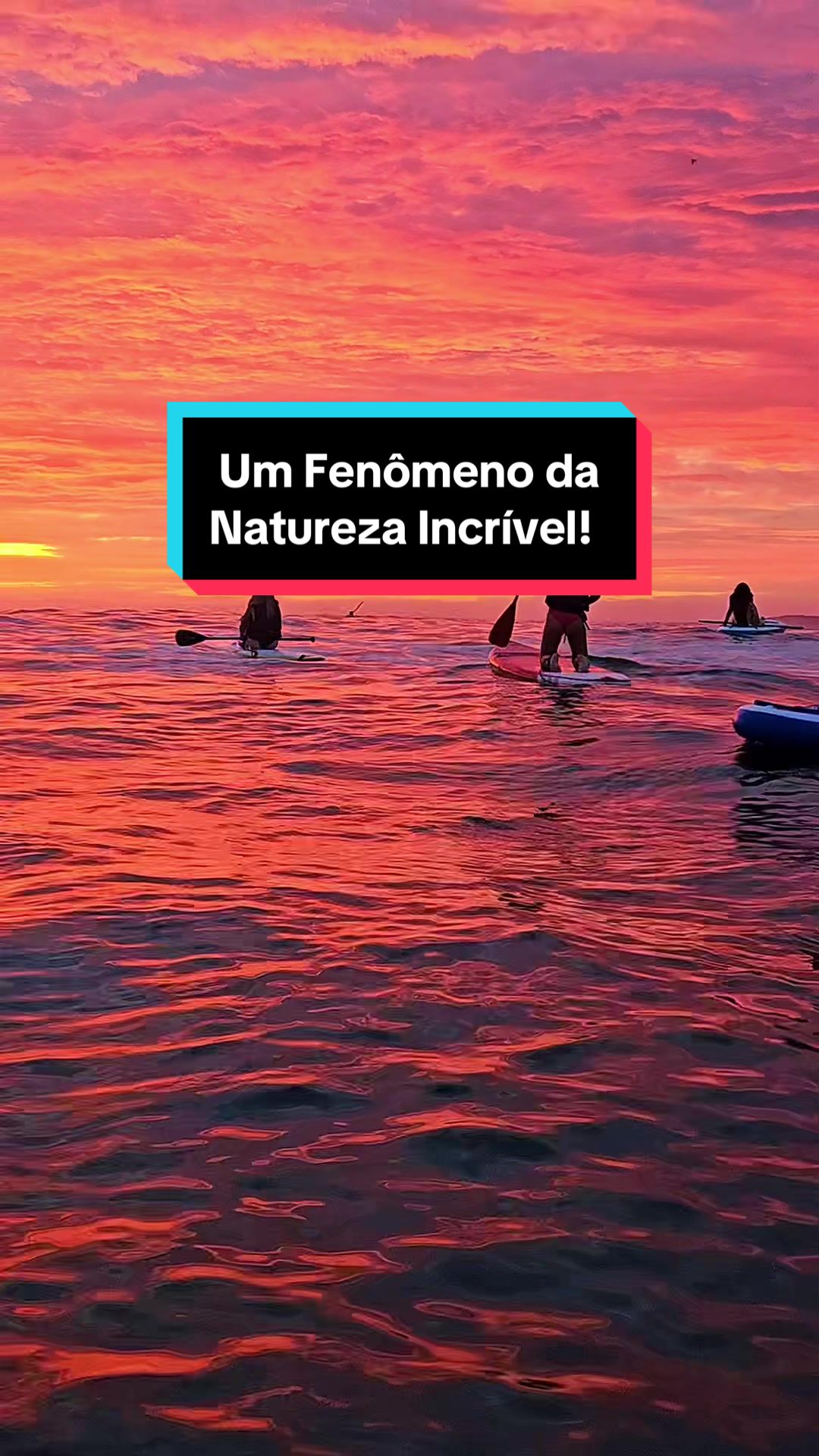 @Surf Rio