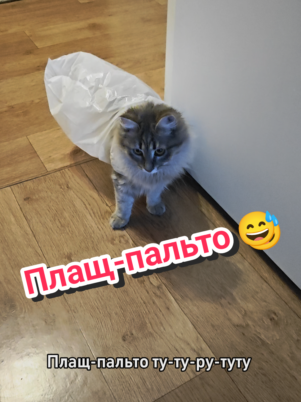 @Баст / Баста / Бася