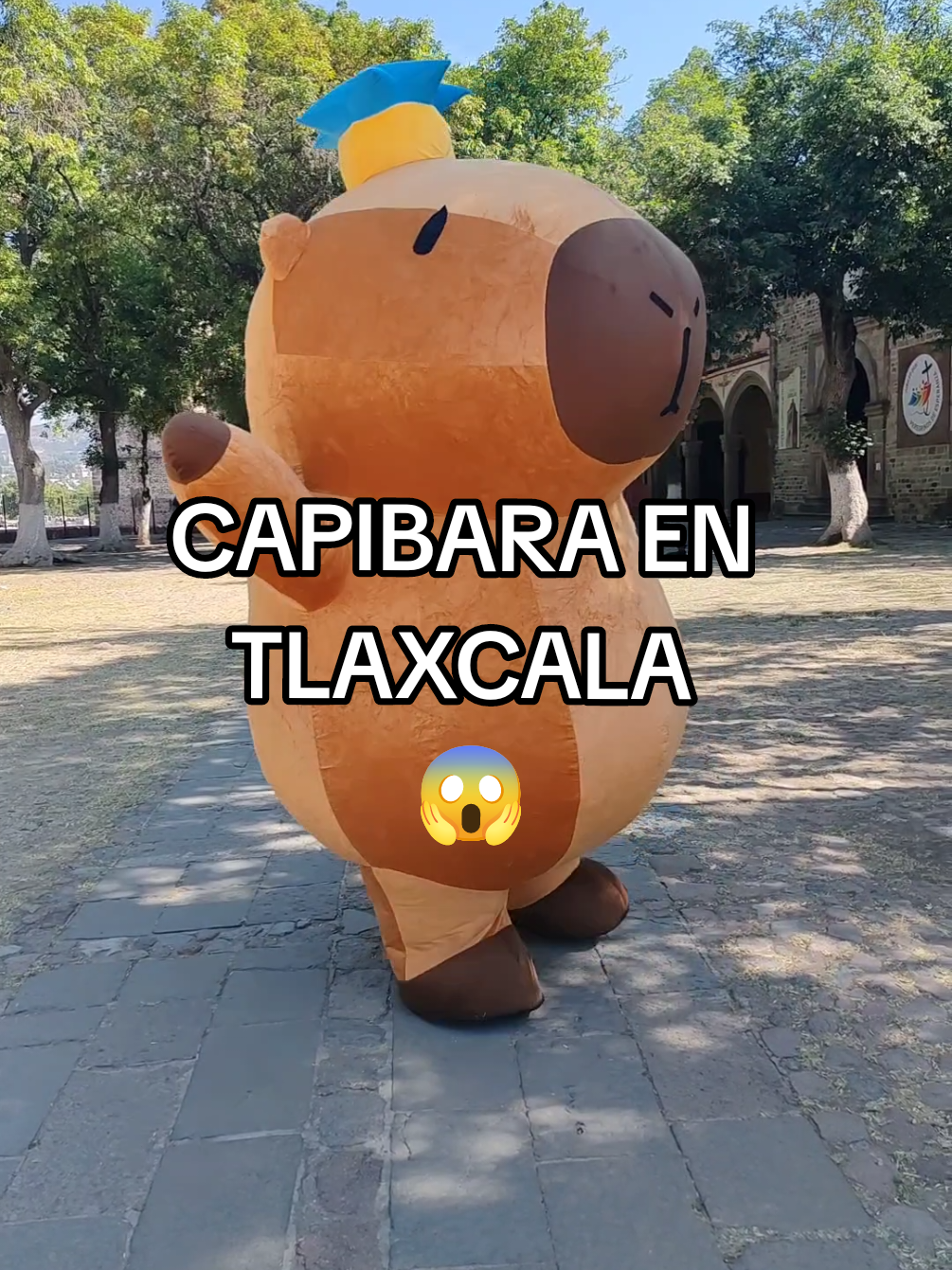 @Funny Tlax