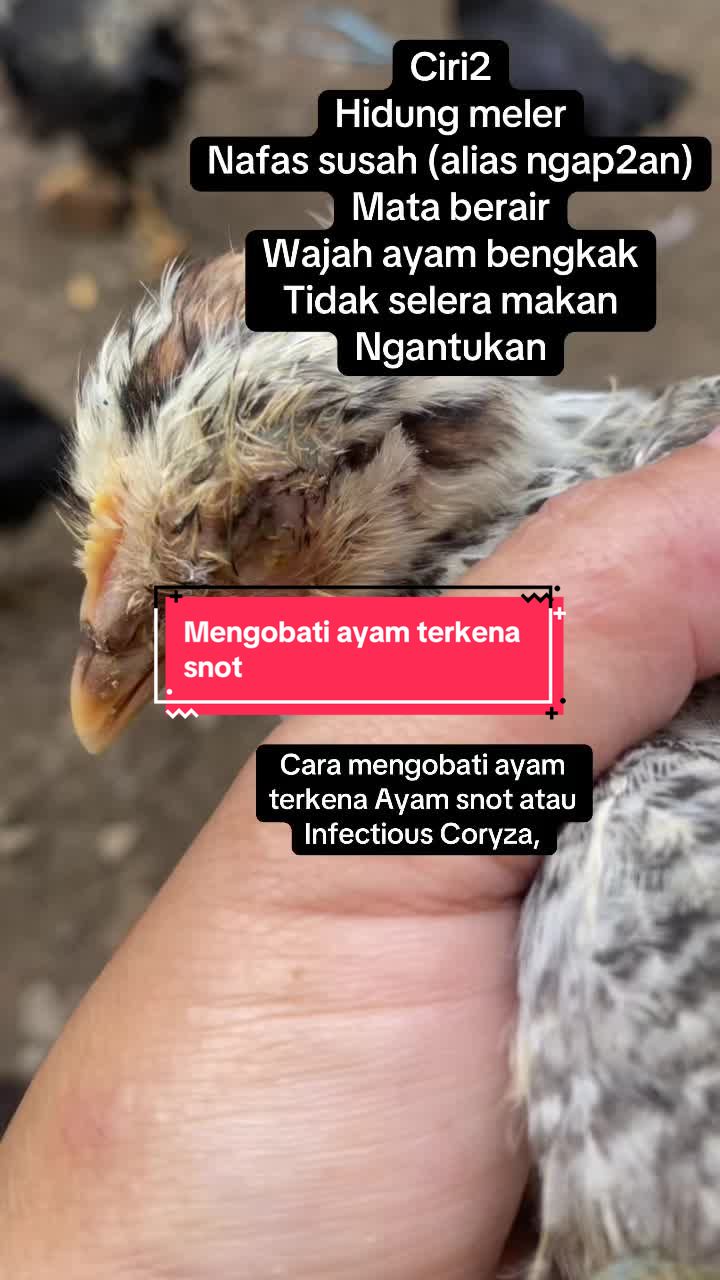 @Risweni Sirait-MUA
