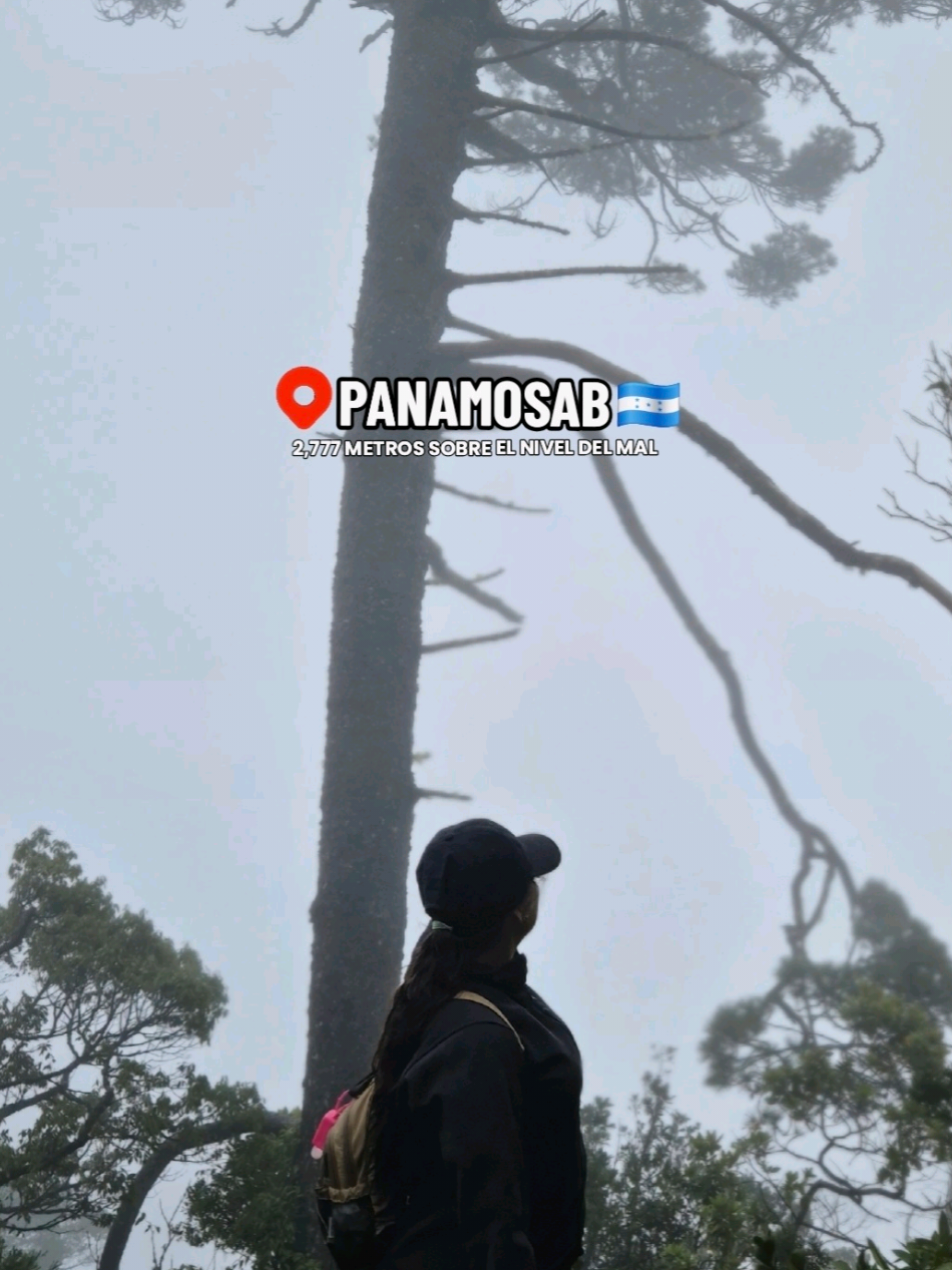 @𝐾𝑒𝑦𝑙𝑖𝑛 𝐶𝑎𝑠𝑡𝑟𝑜 ʚɞ