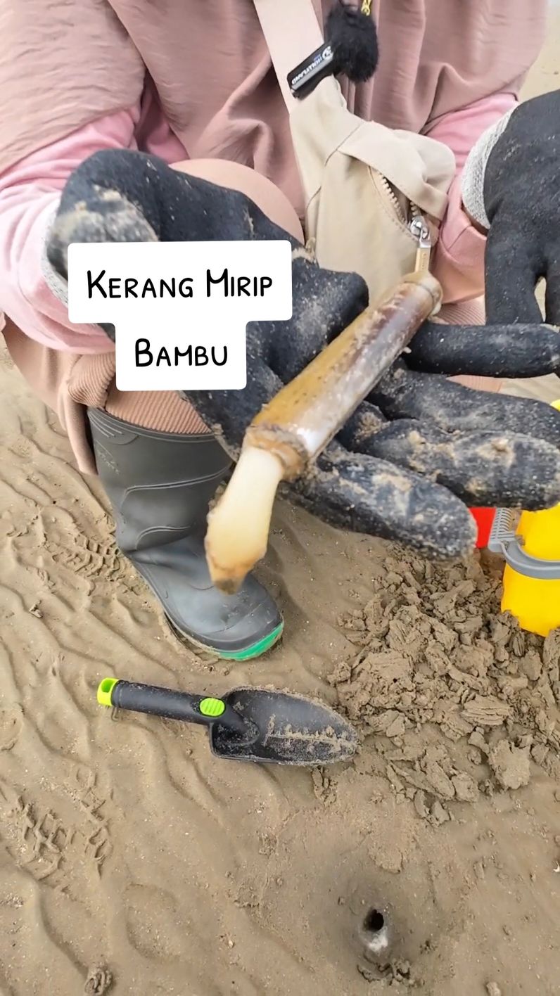 @Mamah Nada