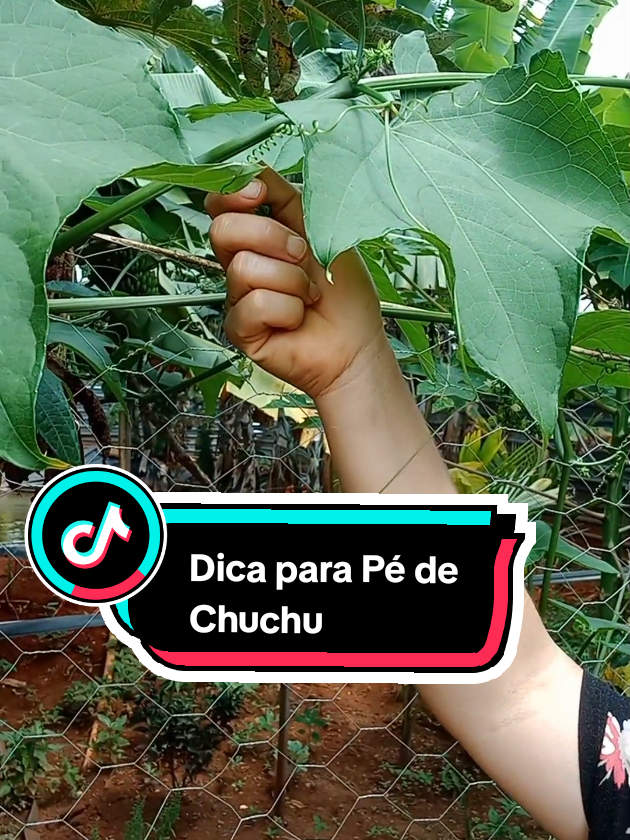 @Antonia Sousa