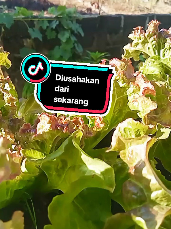 @Prihatini2512