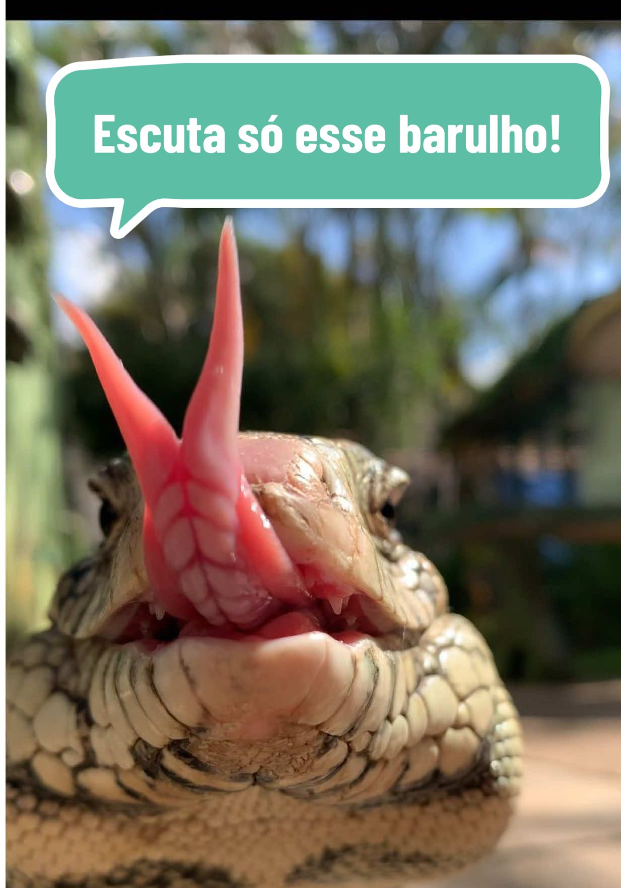 @Eubiologodiego