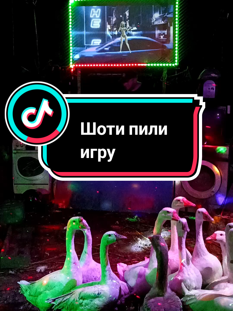 @весёлые поздравления с гусями
