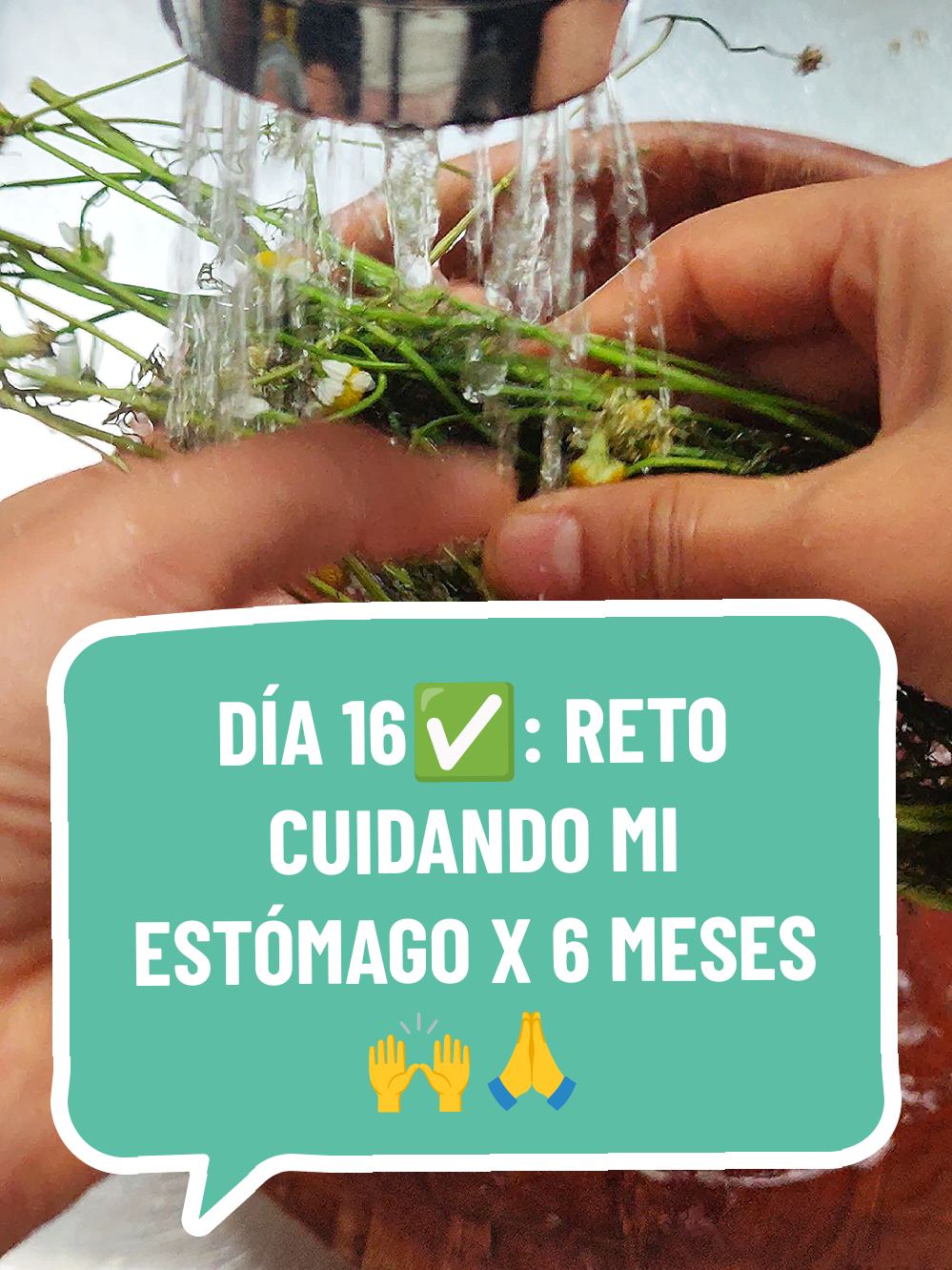 @WAYKI Saludable 🙋🏻♀️🌱