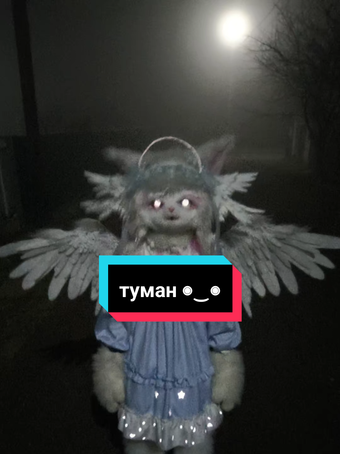 @༒༺Асія_Murrкевич༻༒ ִֶָ𓁿⋆