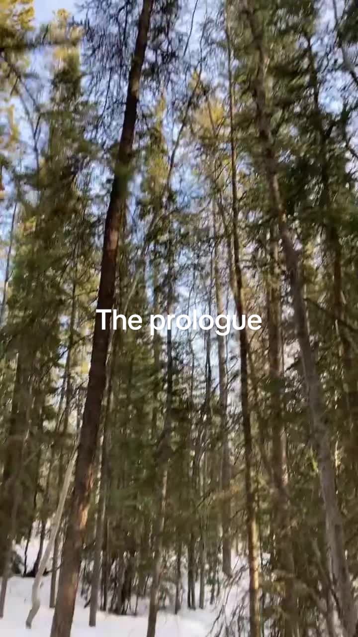 @Tristanmccallum