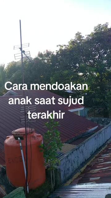 @Suriah.