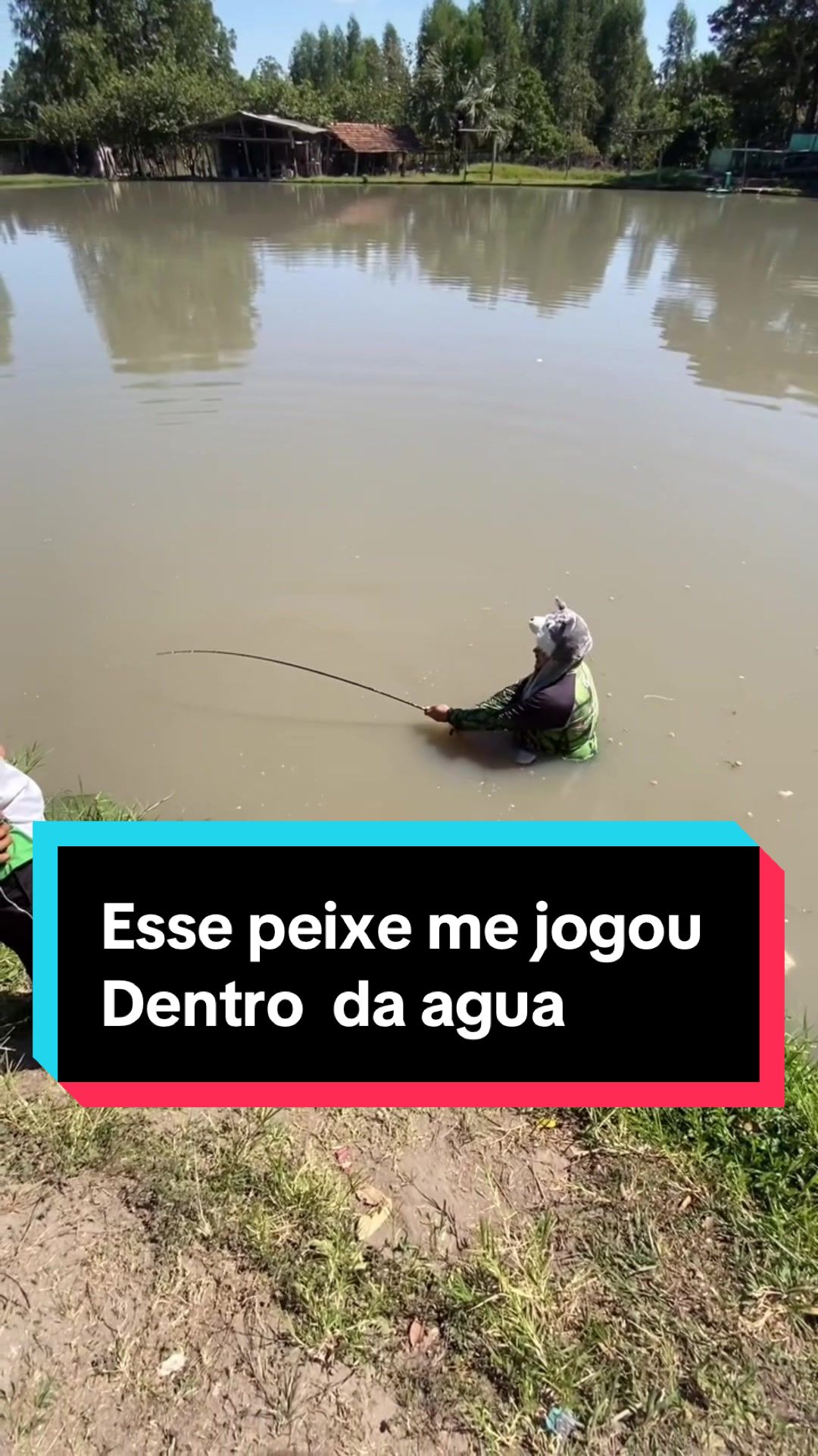 @thiagobombom