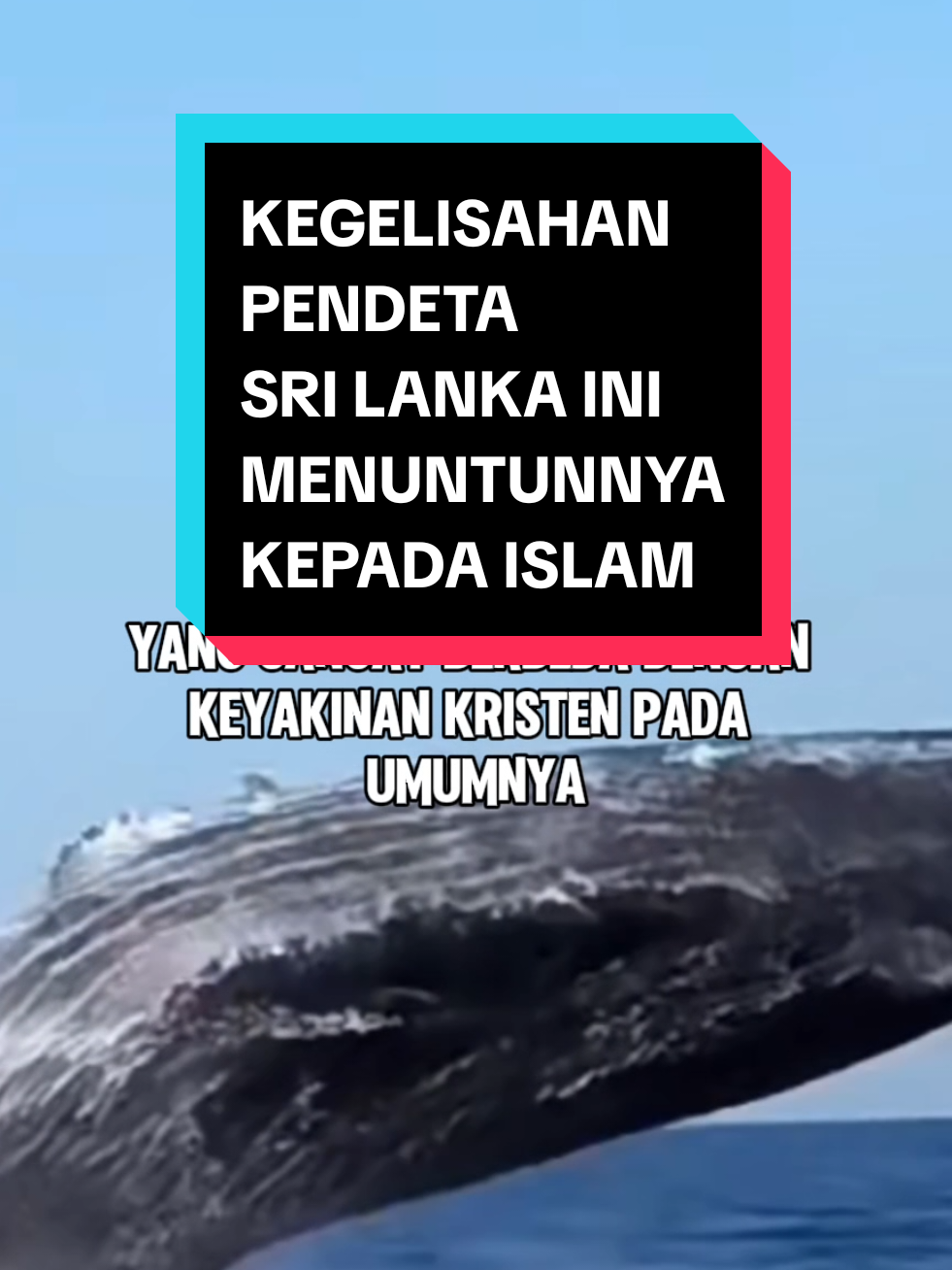 @mualafwp