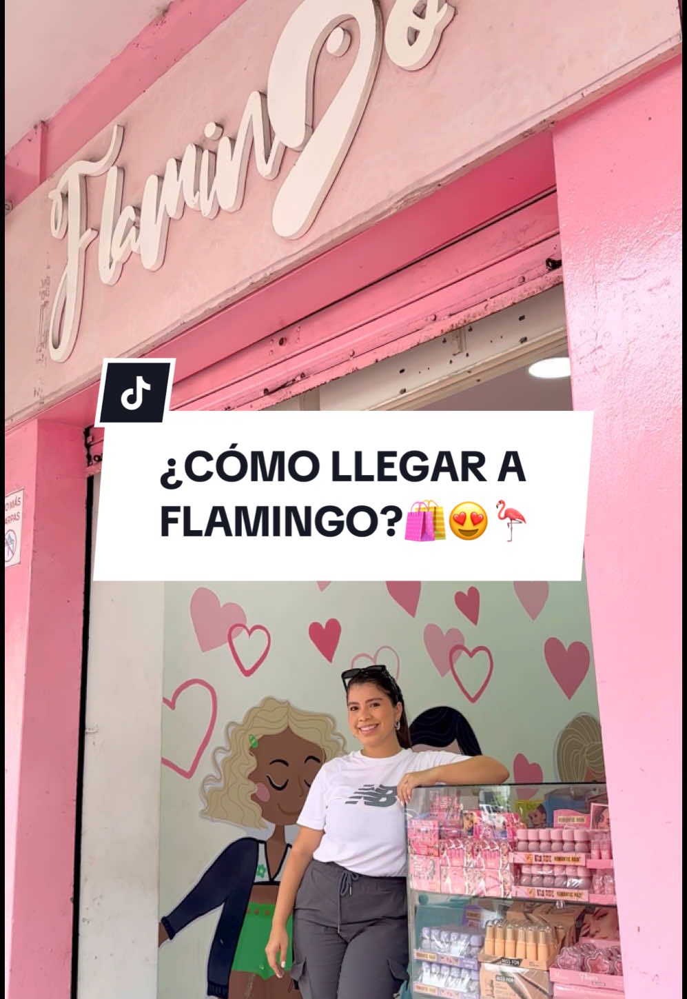 @💗FLAMINGO EC💗