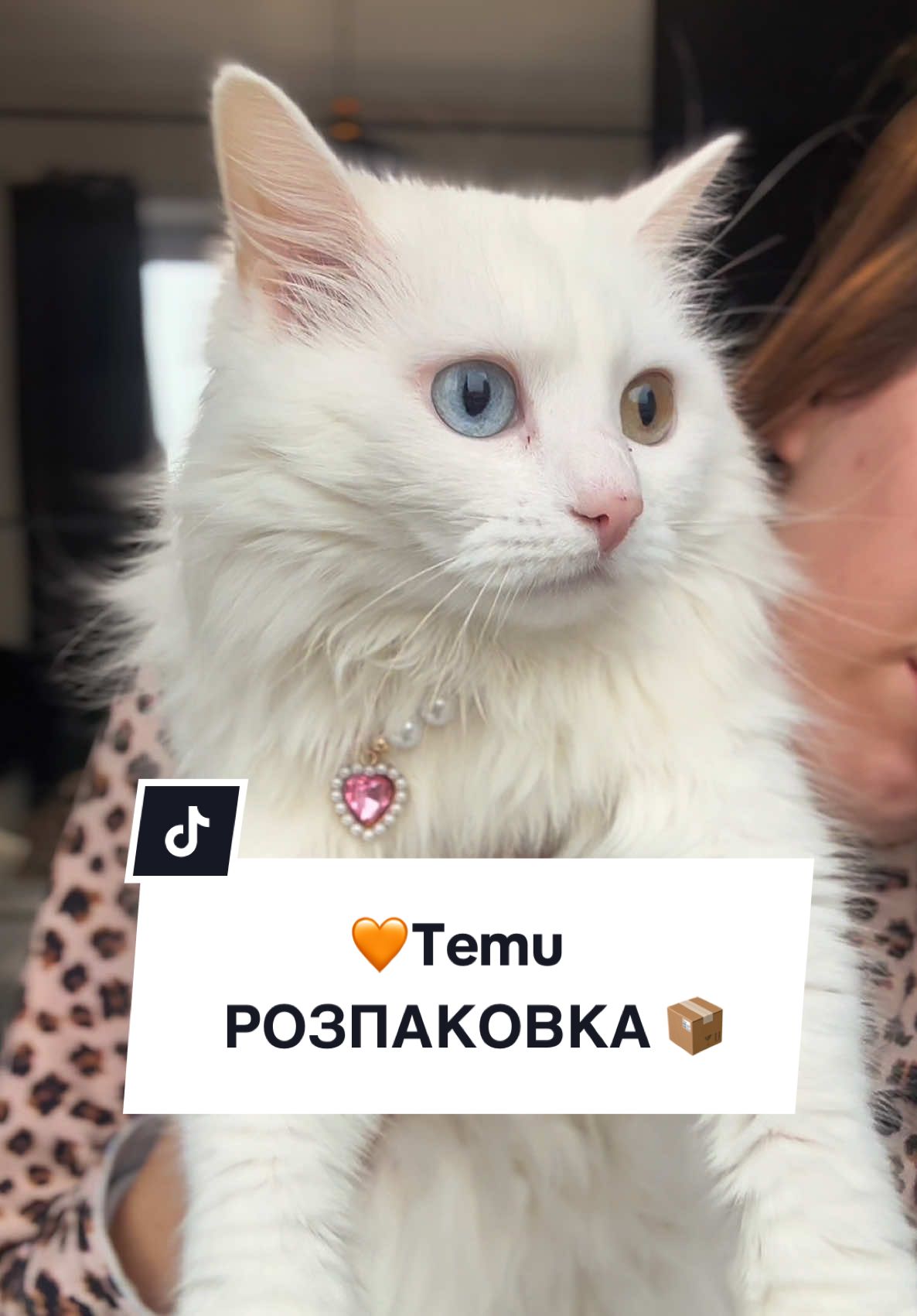 @VALERIA🇺🇦
