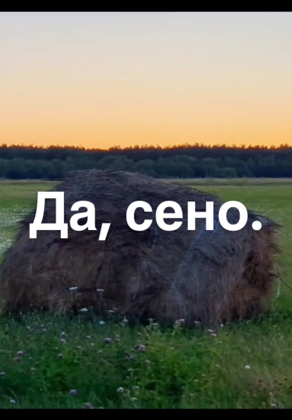 @LIFE