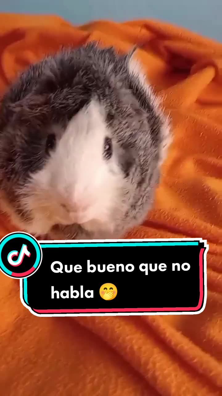 @elratón
