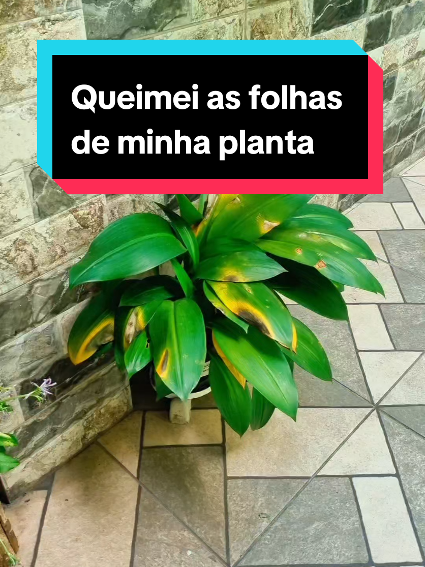 @Lucasgoncalvesbh