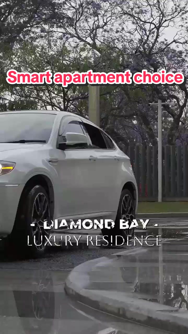 @Lady Diamond