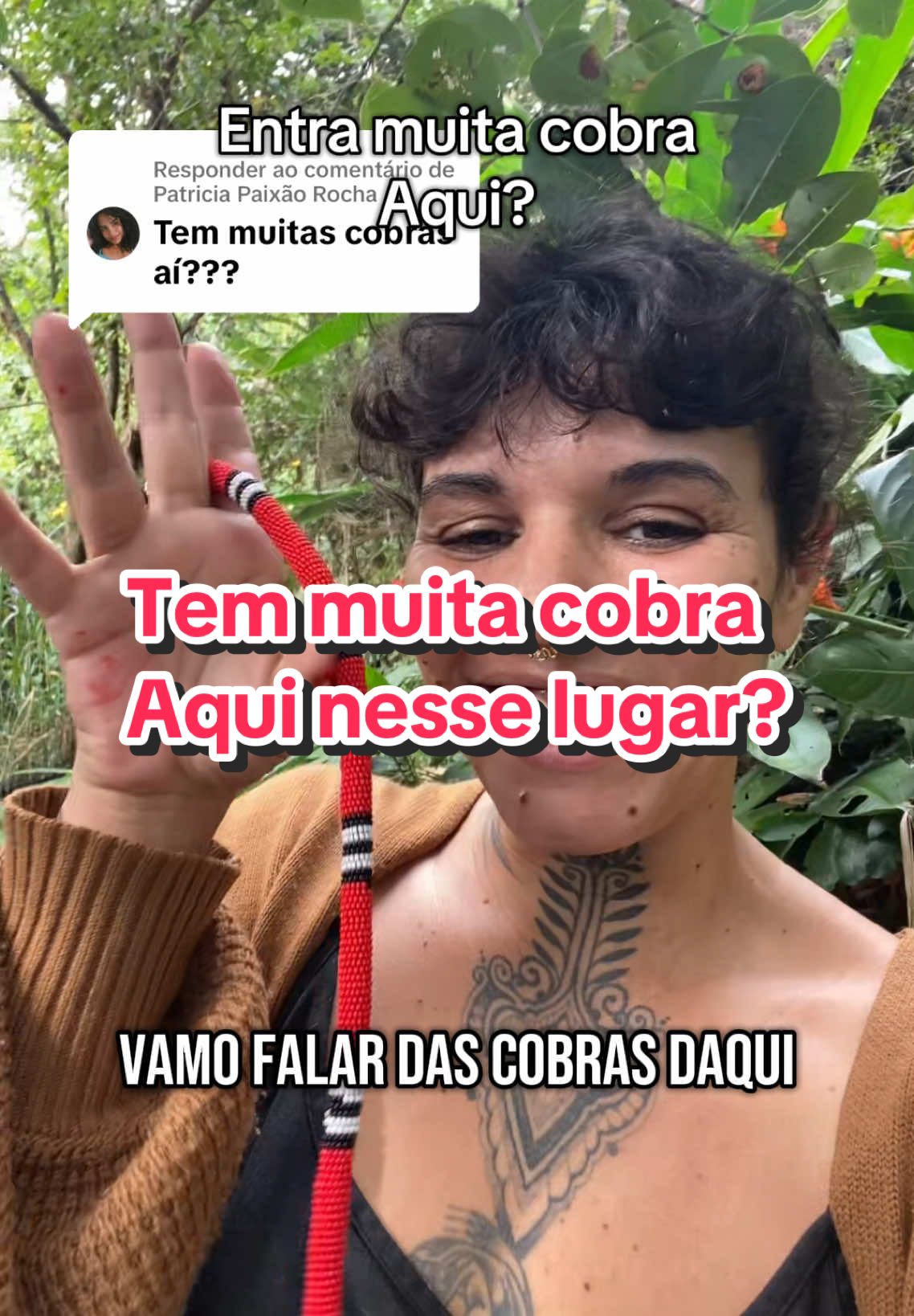 @Odara da Floresta 🇧🇷