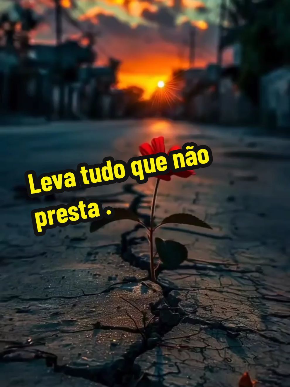 @Moda caipira