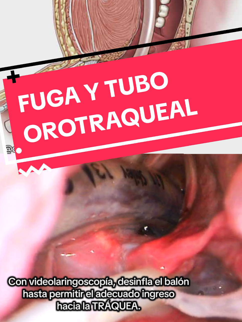 @Dr Salvador Abreo