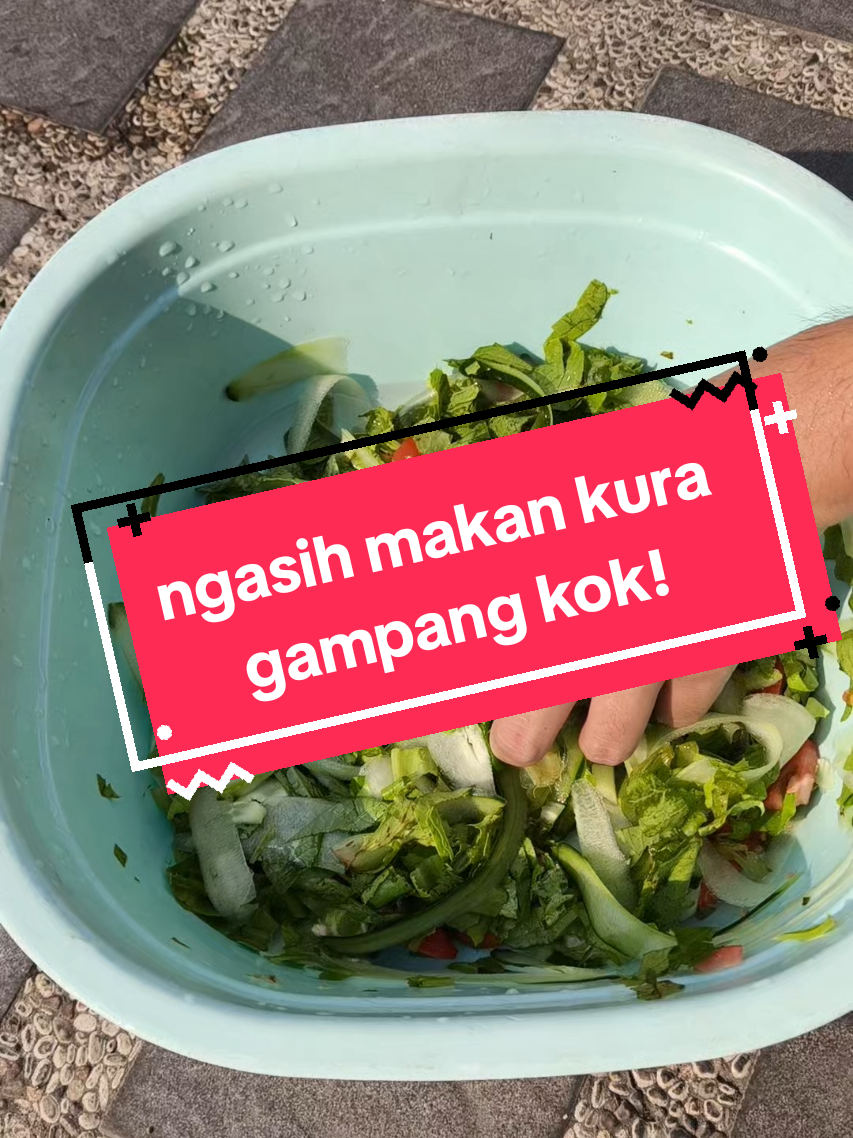 @ElimTorto
