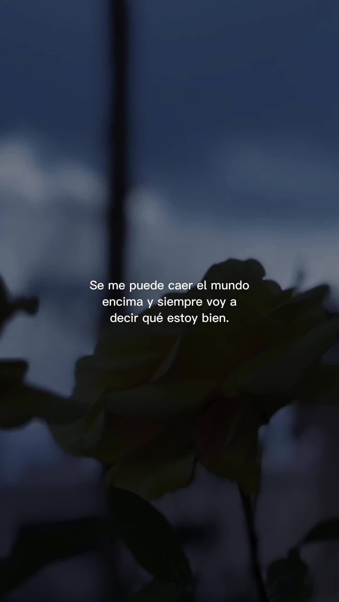 @Ninablanc3333