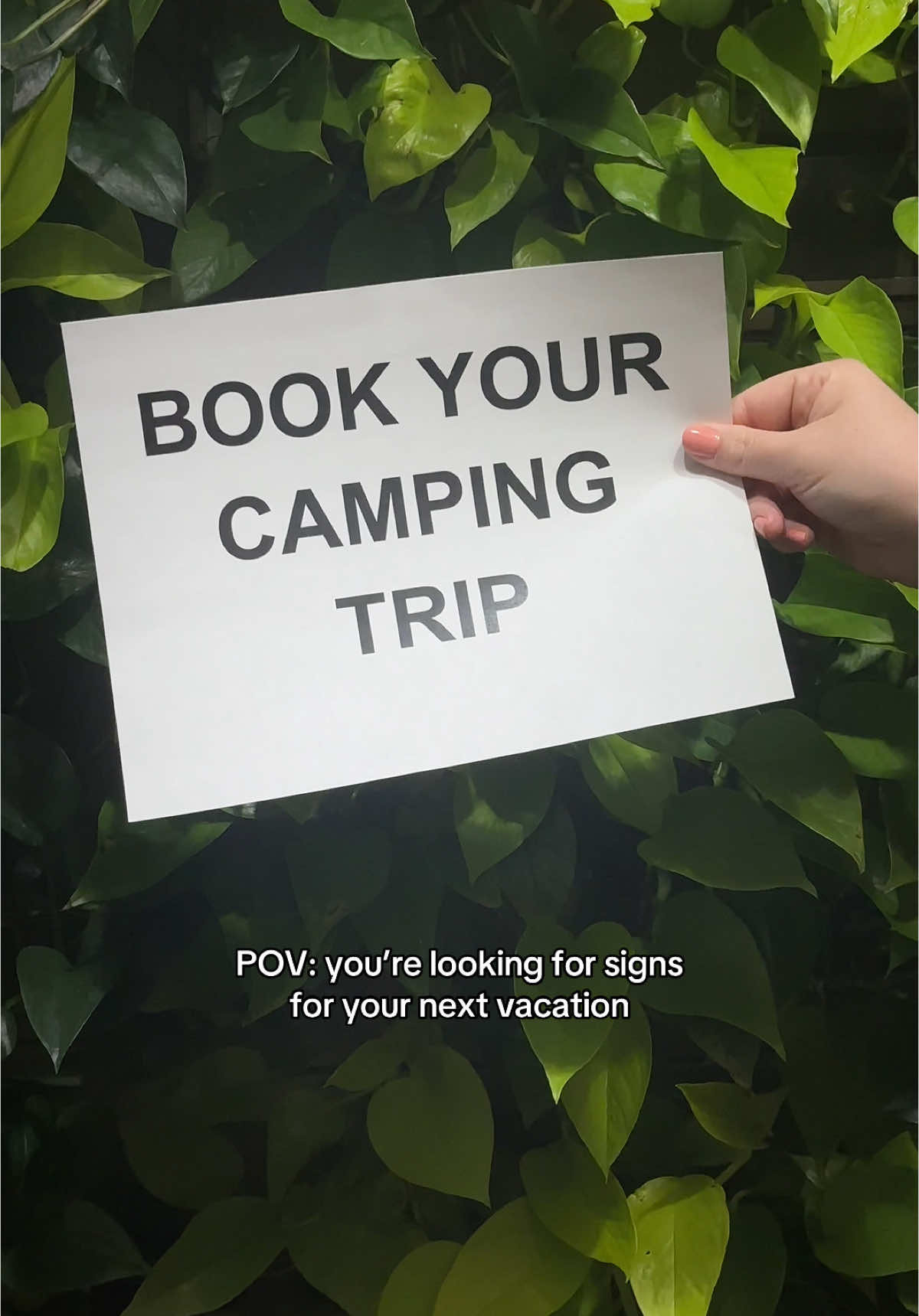 @Camp Fimfo