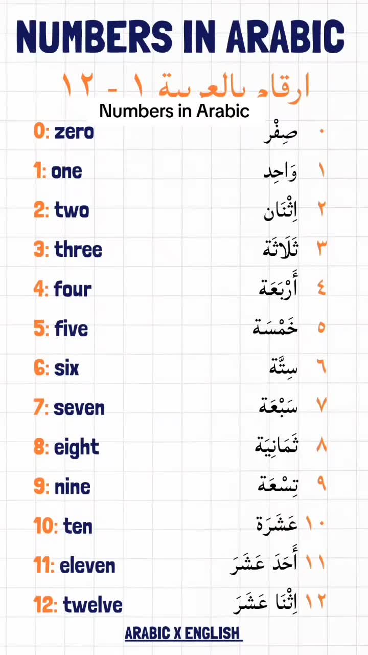 Numbers in Arabic #foryou | Arabic X English (@arabicxenglish)