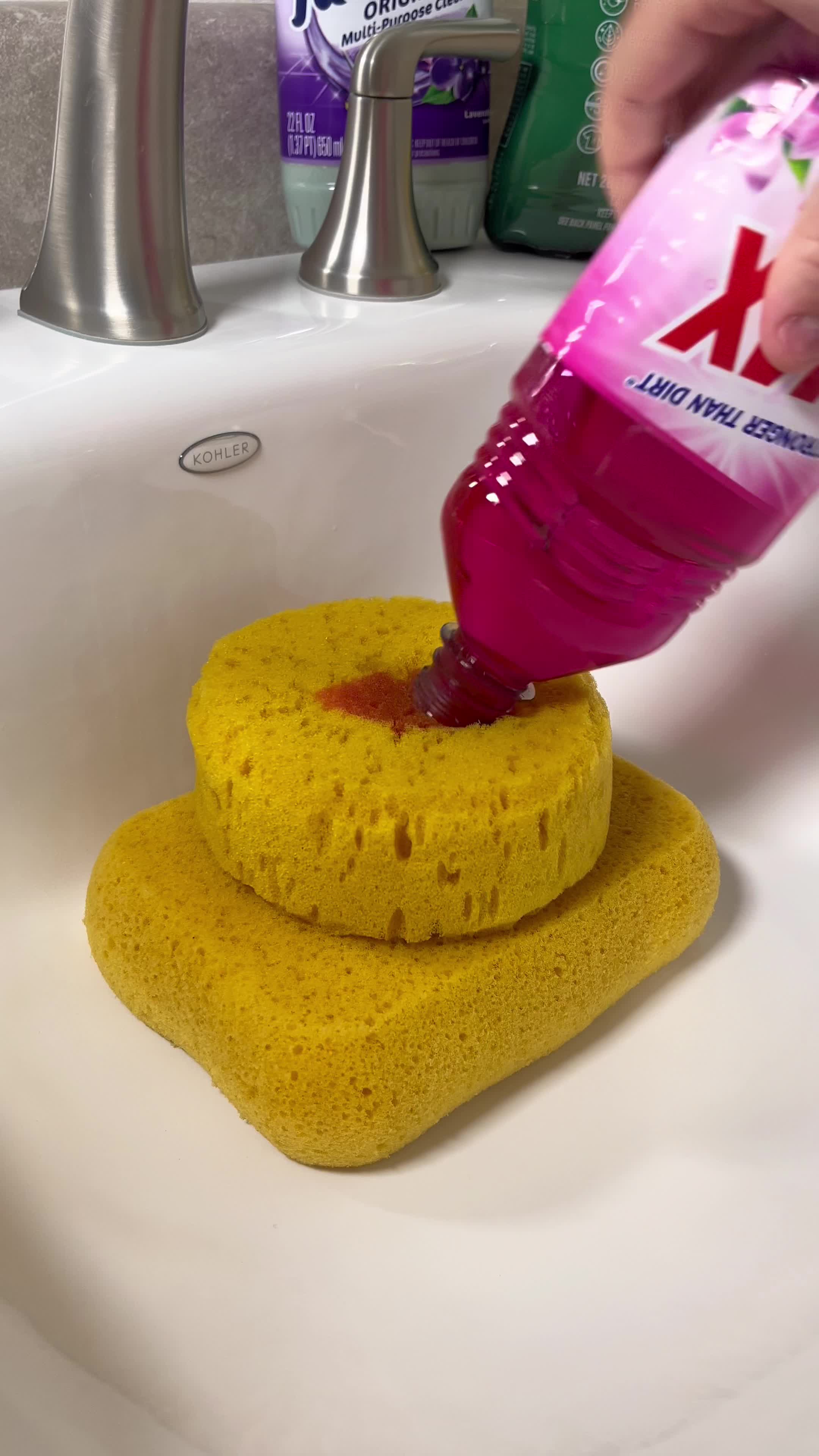 @Spongetok4evr