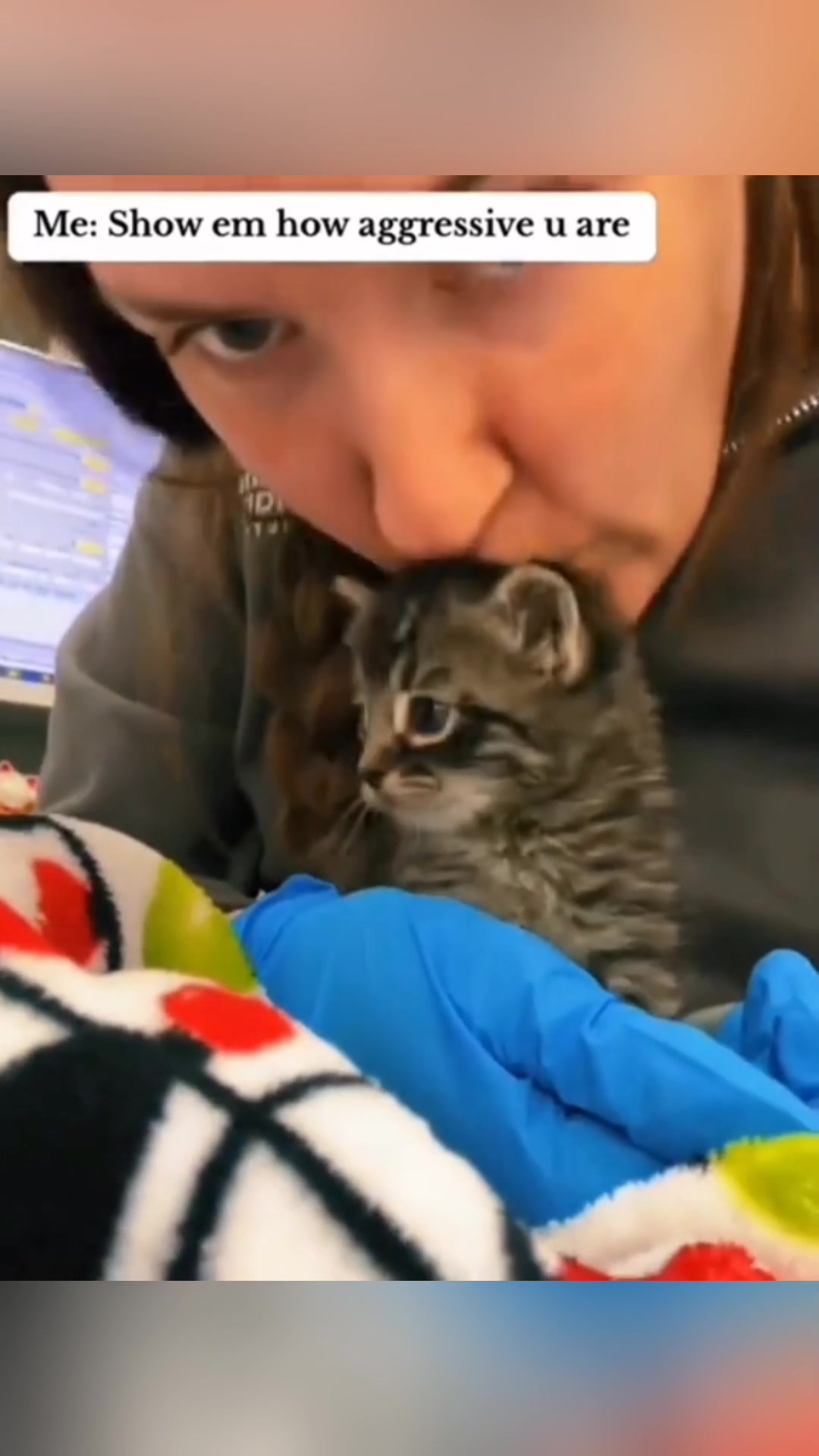 @Funny cat