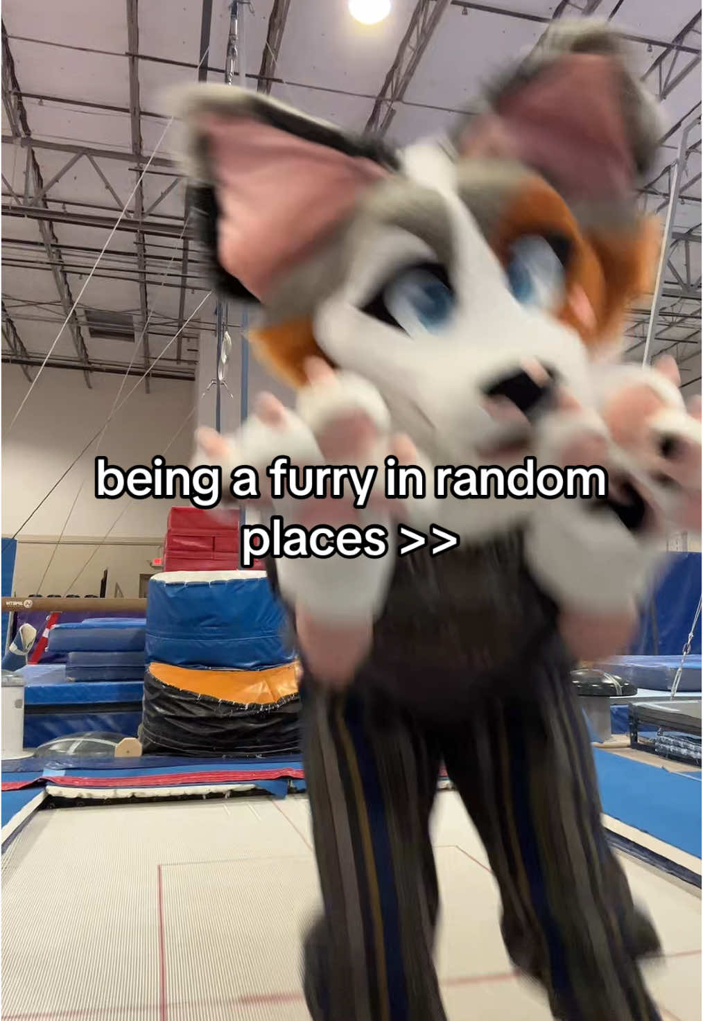 @splashzonesuits