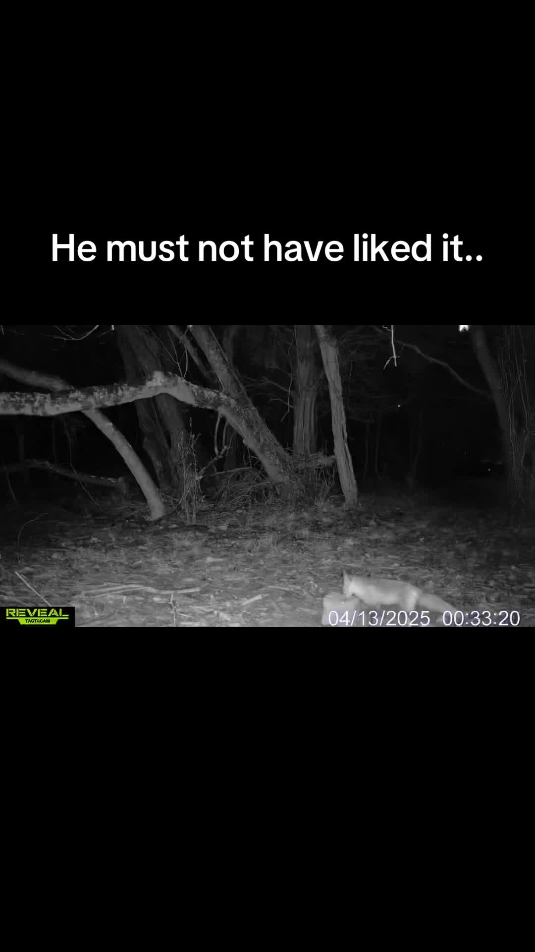 @Blough Chris