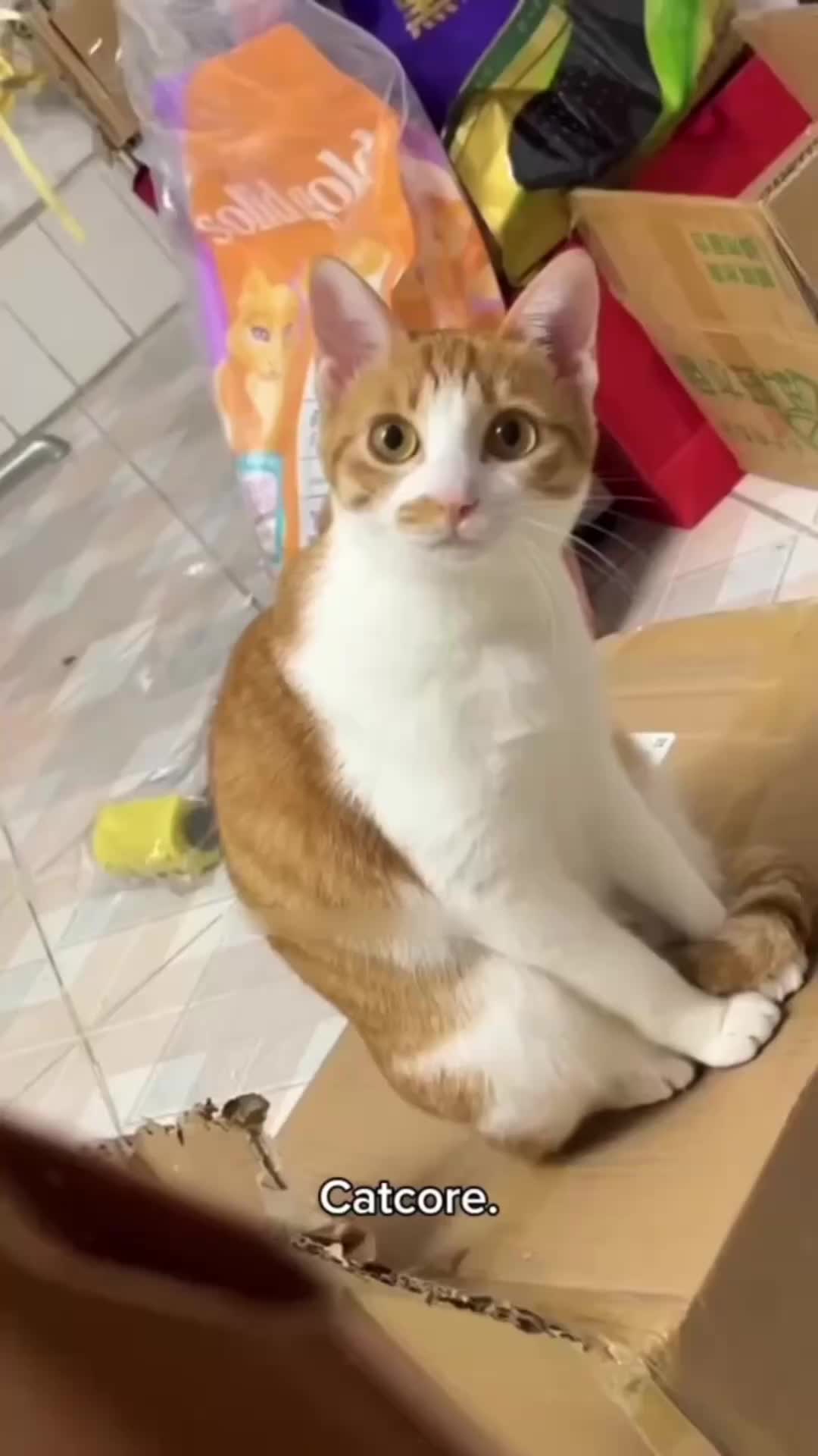 @mlo678