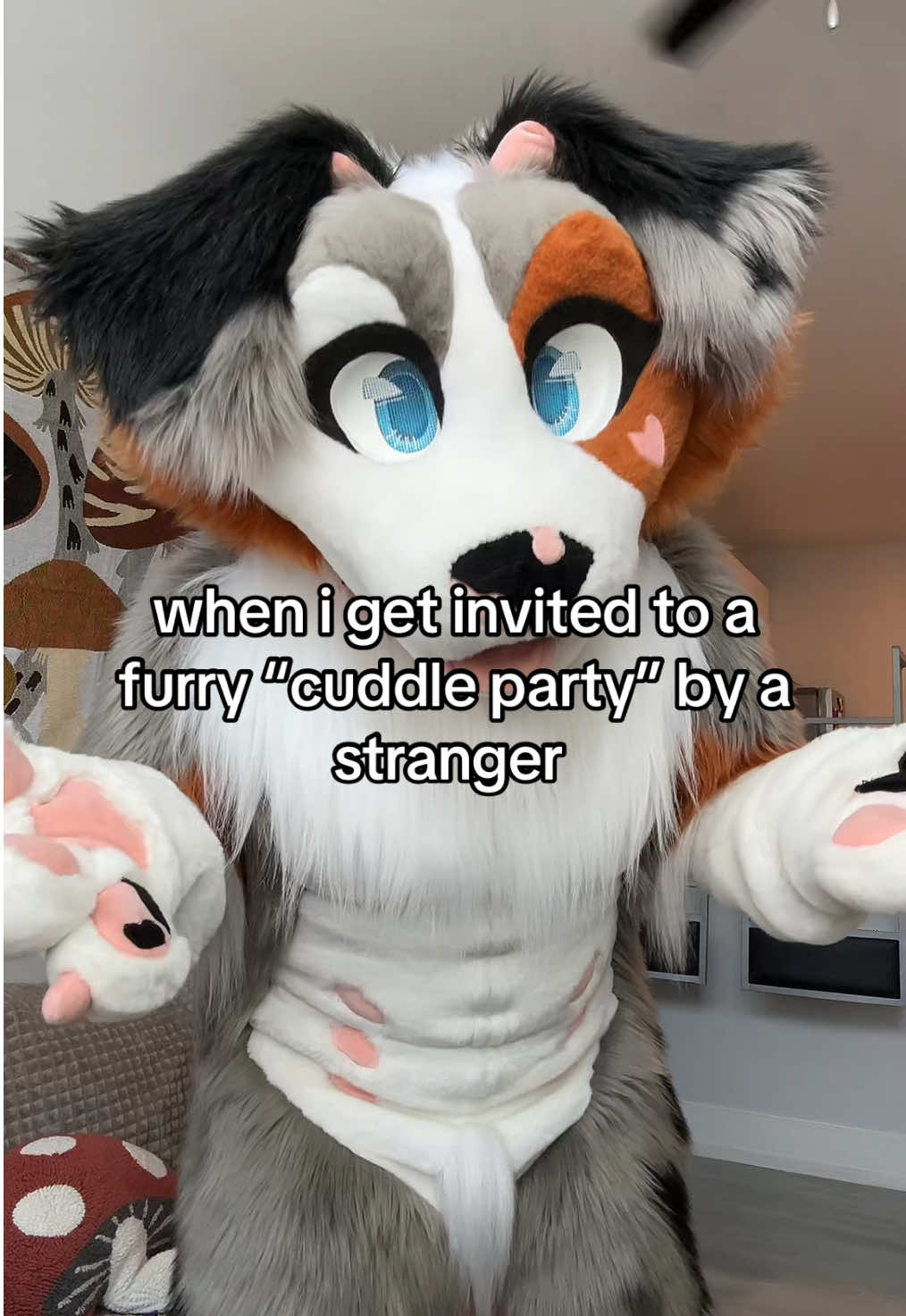 @splashzonesuits