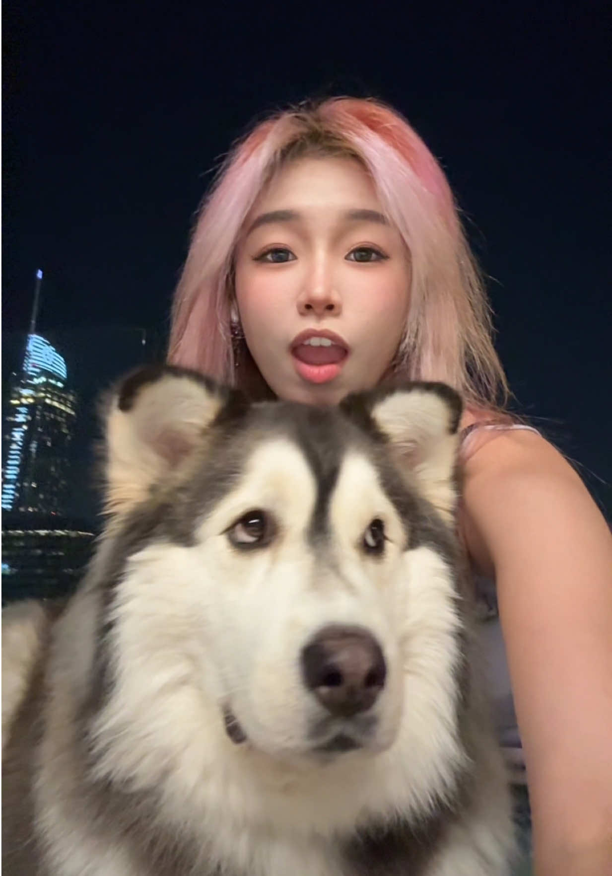 @SHULUN