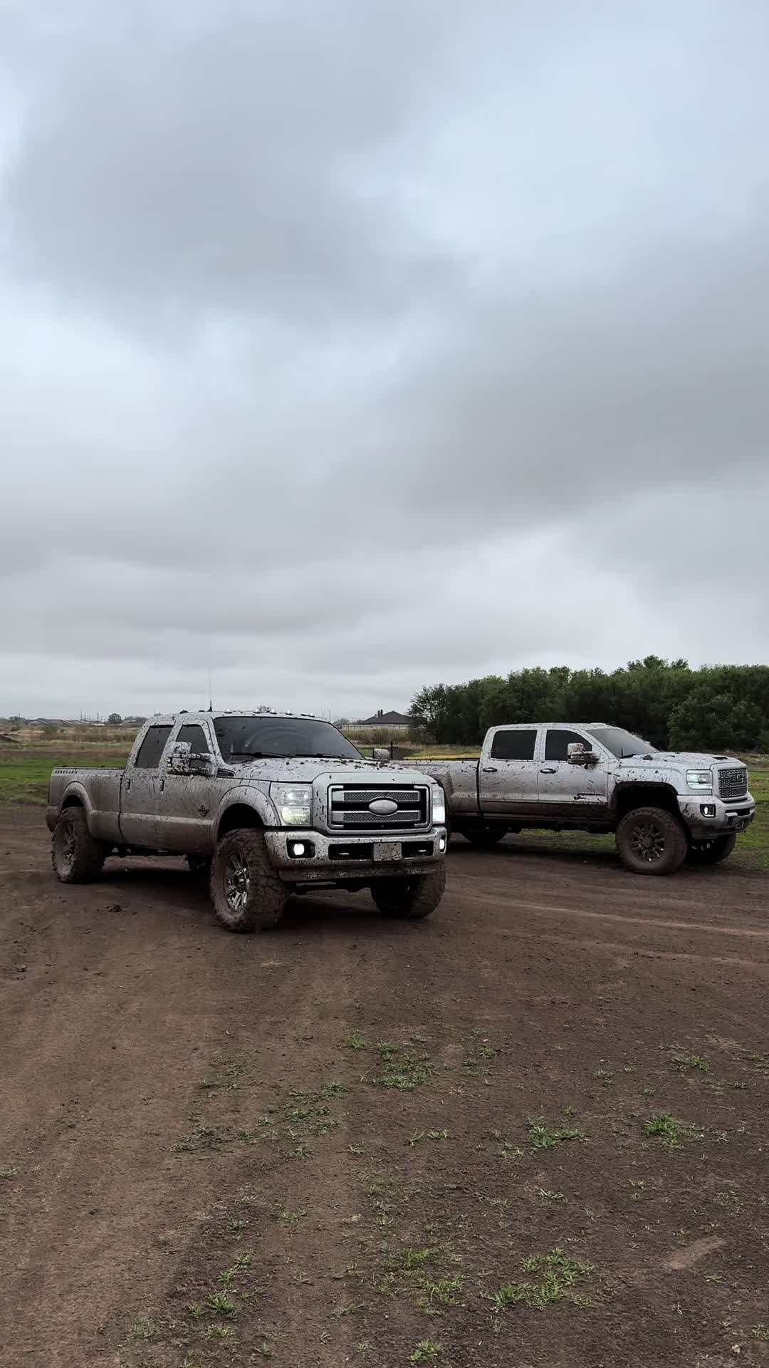 @will.procell