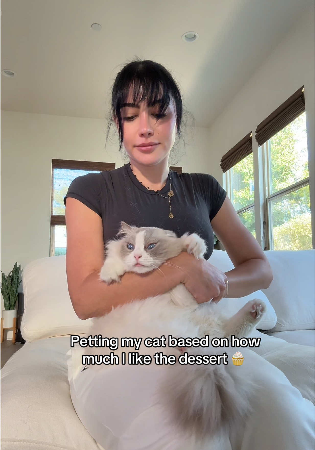 @Sara Hesri