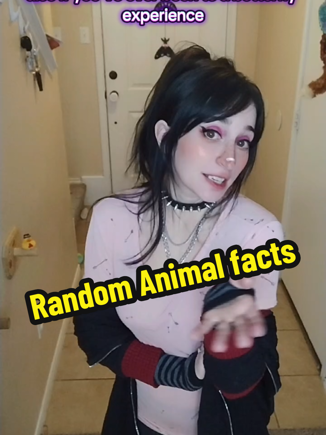 🦄 @k.smudge - Kimberly (Smudge) H - TikTok