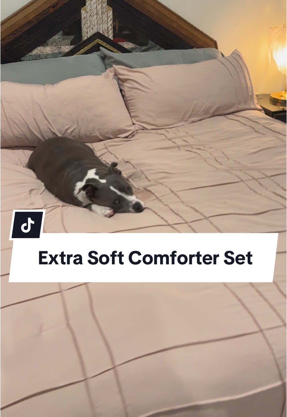 Saffron Summers (@saffronlovesbikinis) - Urlebird