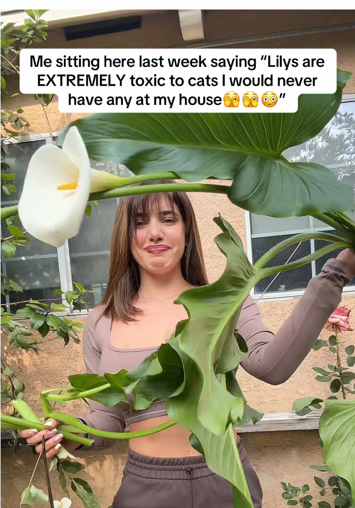 Lexi (@ohhbabyitslexi) - Urlebird