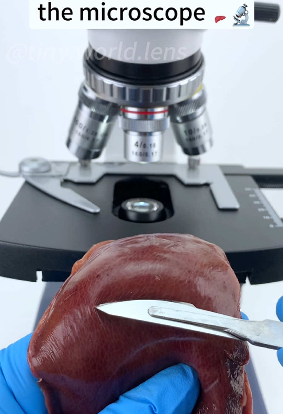 3.77K hearts, 75 shares | trinidy reel (@trinidyreel17)