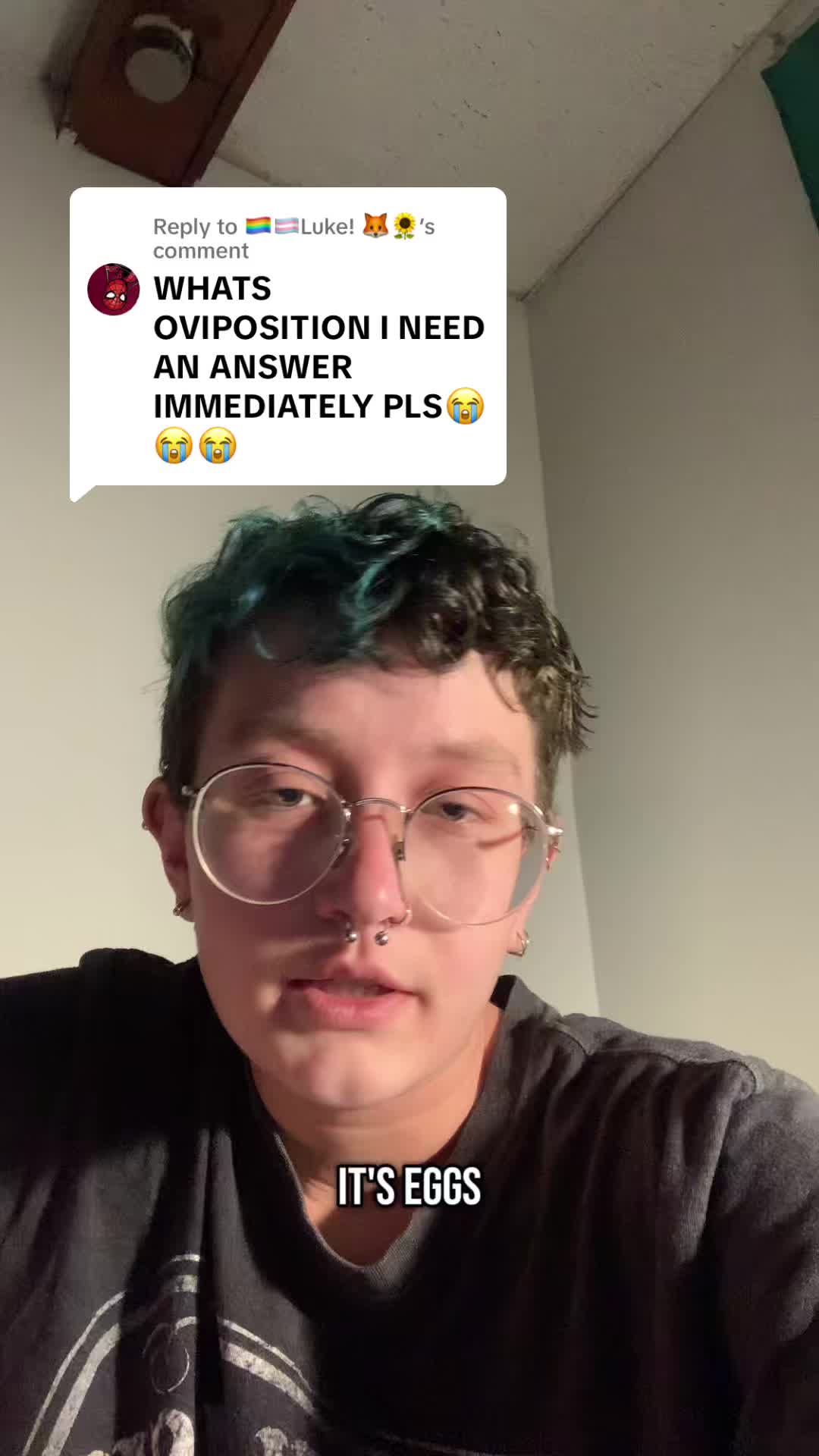 431 hearts, 25 shares, 11 Audrey 🩵 (@by.audrey.jane)